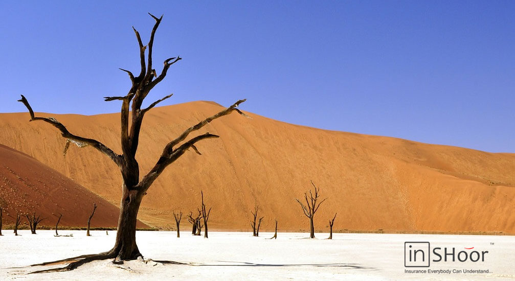 Namibia Funeral Cover Tree